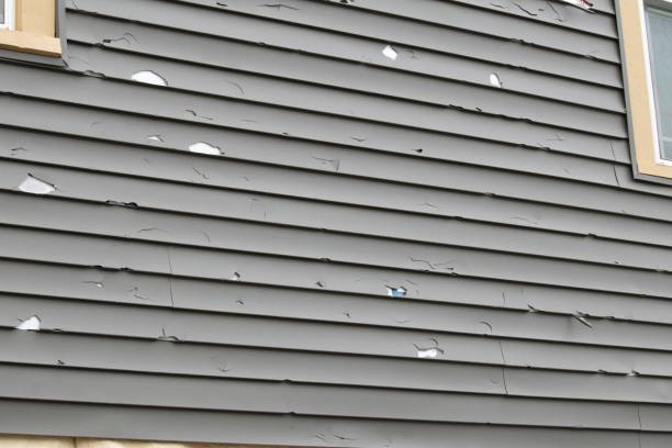 Best Storm Damage Siding Repair  in Mead Valley, CA